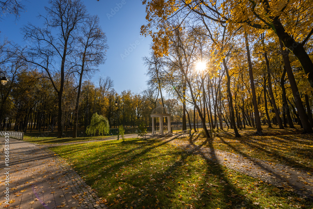 Fototapeta premium A park with a large tree in the middle and a bench in the foreground