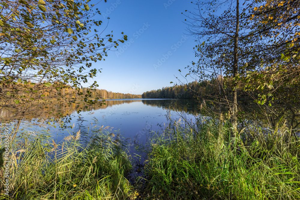 Obraz premium A lake with a forest in the background