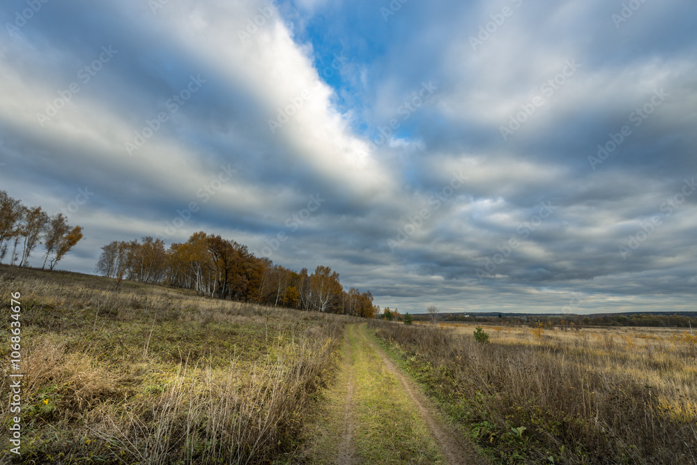 A field with a dirt road in the middle of it A field with a dirt road in the middle of it