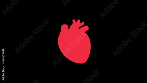 A scarlet heart on a black background. Animation of the heartbeat. A sign of strong emotions, excitement, feelings