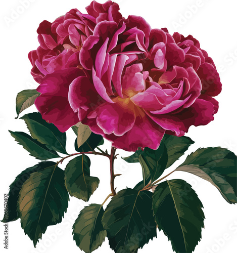 Bouquet of red roses