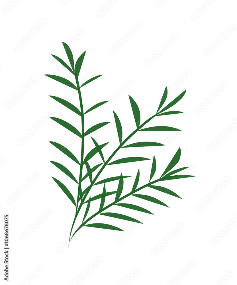 Fototapeta premium High-quality vector illustration of various plants and leaves, featuring realistic details and vibrant green tones. Perfect for eco-friendly designs, nature-themed projects, wellness branding, and bot