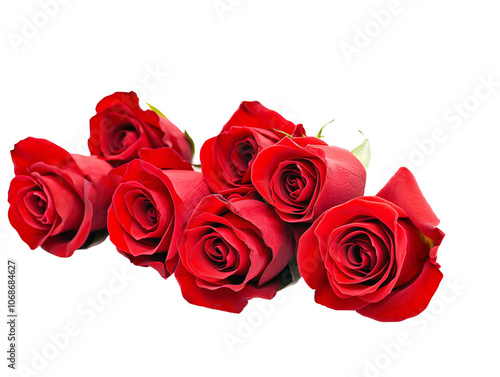 a group of red roses