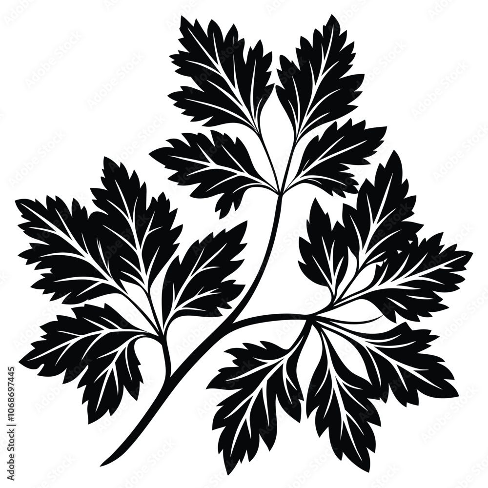 Parsley Icon on Transparent Background
Parsley Icon on Transparent Background