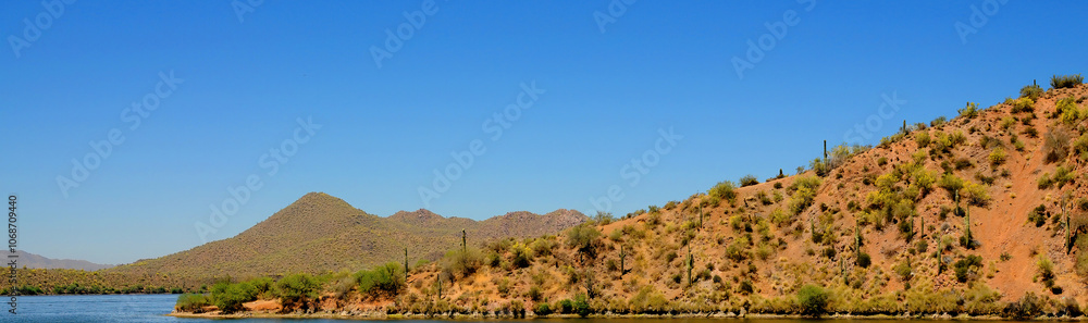 Spring at Saguaro lake in Arizona Spring at Saguaro lake in Arizona