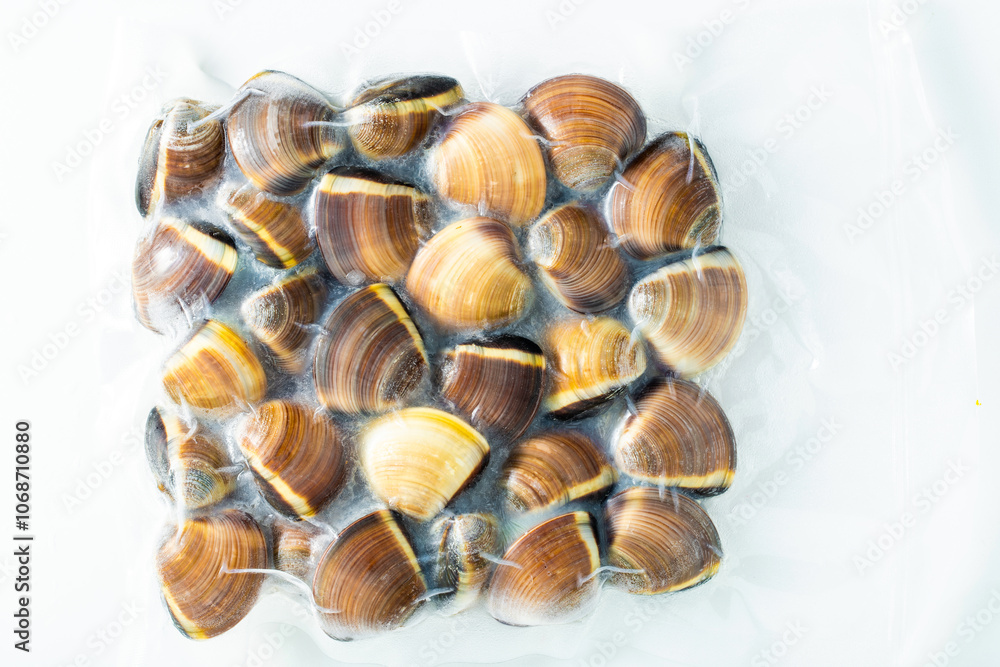 fresh raw Italian clams fresh raw Italian clams in pre-frozen packaging fresh raw Italian clams fresh raw Italian clams in pre-frozen packaging