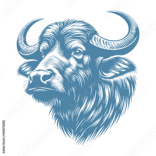 buffalo vector illustration