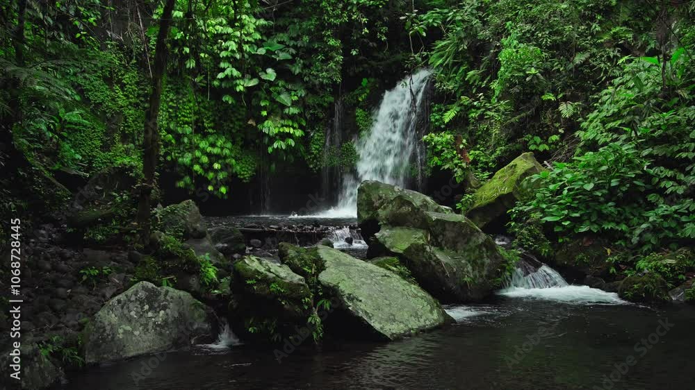 The waterfall, with water falling down in the wild nature. Rain forest with green plants and trees in Indonesia The waterfall, with water falling down in the wild nature. Rain forest with green plants and trees in Indonesia