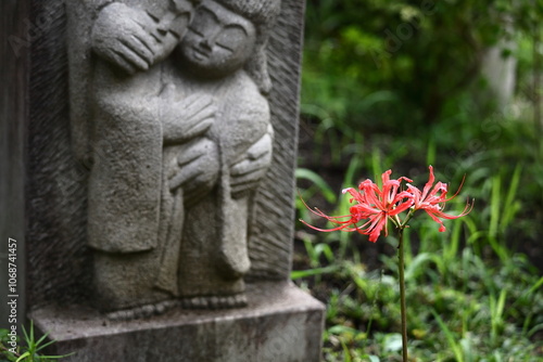 情熱の花