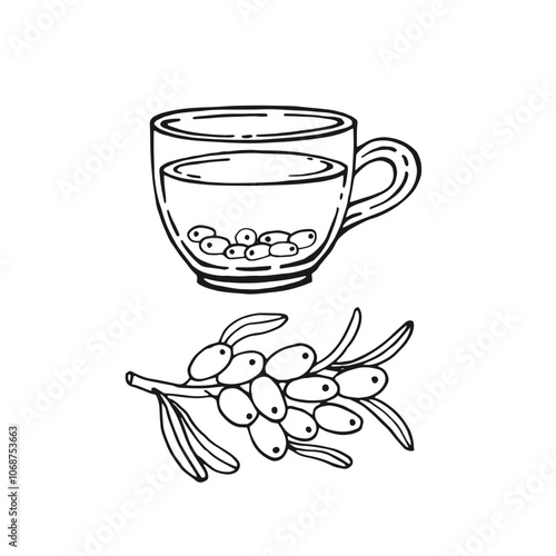 Glass cup of tea, sea buckthorn. Hand drawn vector illustration in outline style.