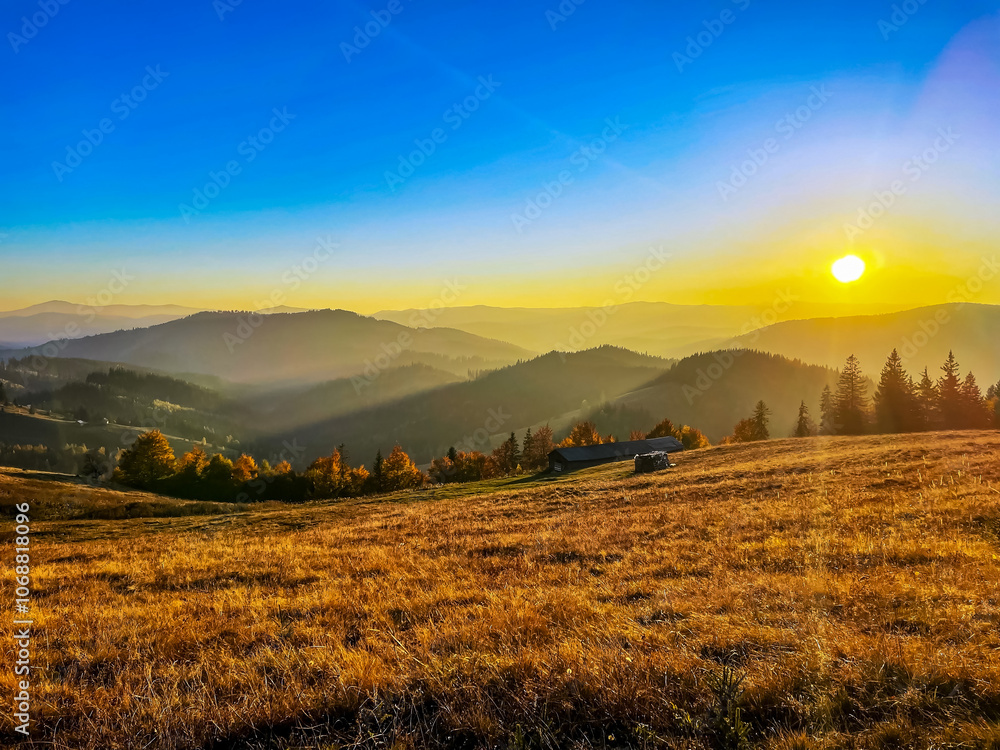 Obraz premium Landscapes - Forest - Europe, Romania, Suceava region