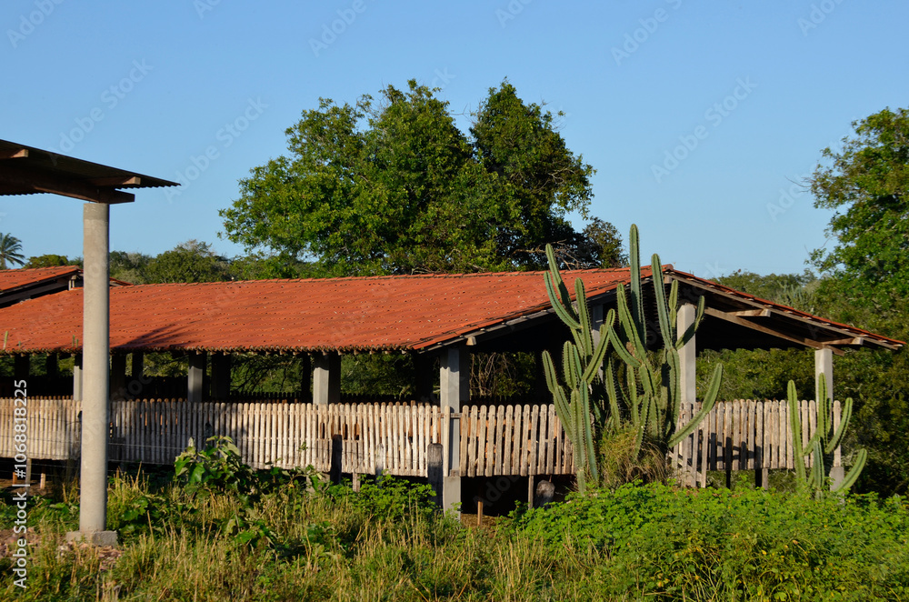 Facade of the corral of corralled goats and sheep, it is the traditional form of farming on the rural farm Facade of the corral of corralled goats and sheep, it is the traditional form of farming on the rural farm