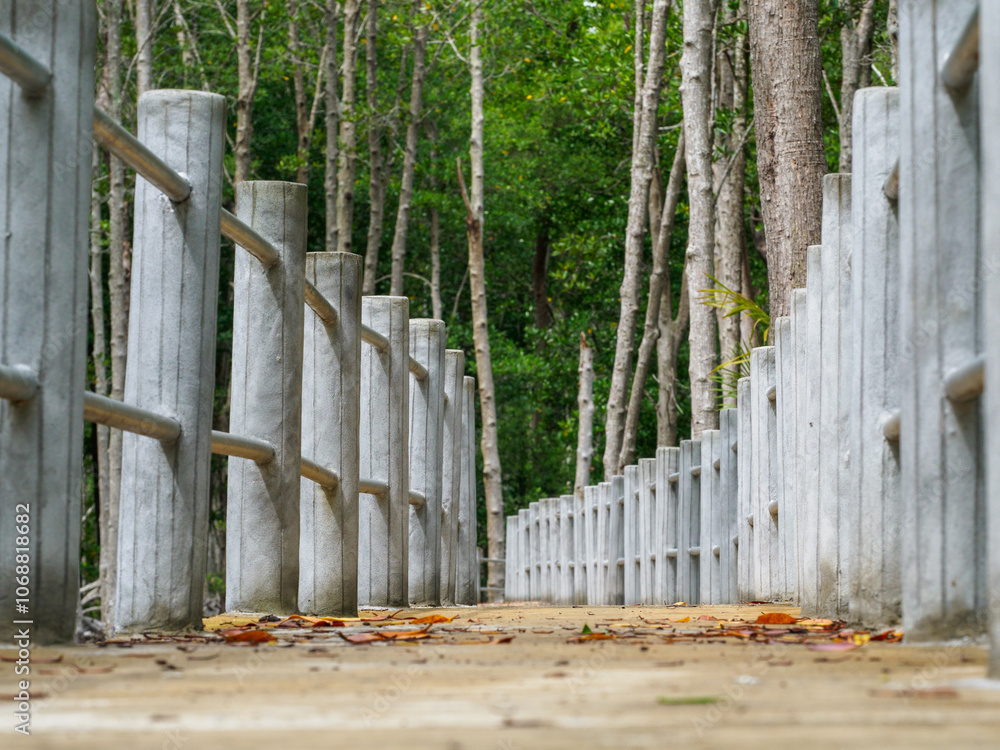 Fototapeta premium Concrete sidewalk for walking through the nature of the mangrove forest.
