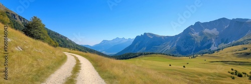 A road winds through a grassy field with mountains in the background. The sky is clear and blue, and the sun is shining brightly. The scene is peaceful and serene, with the road leading to a beautiful