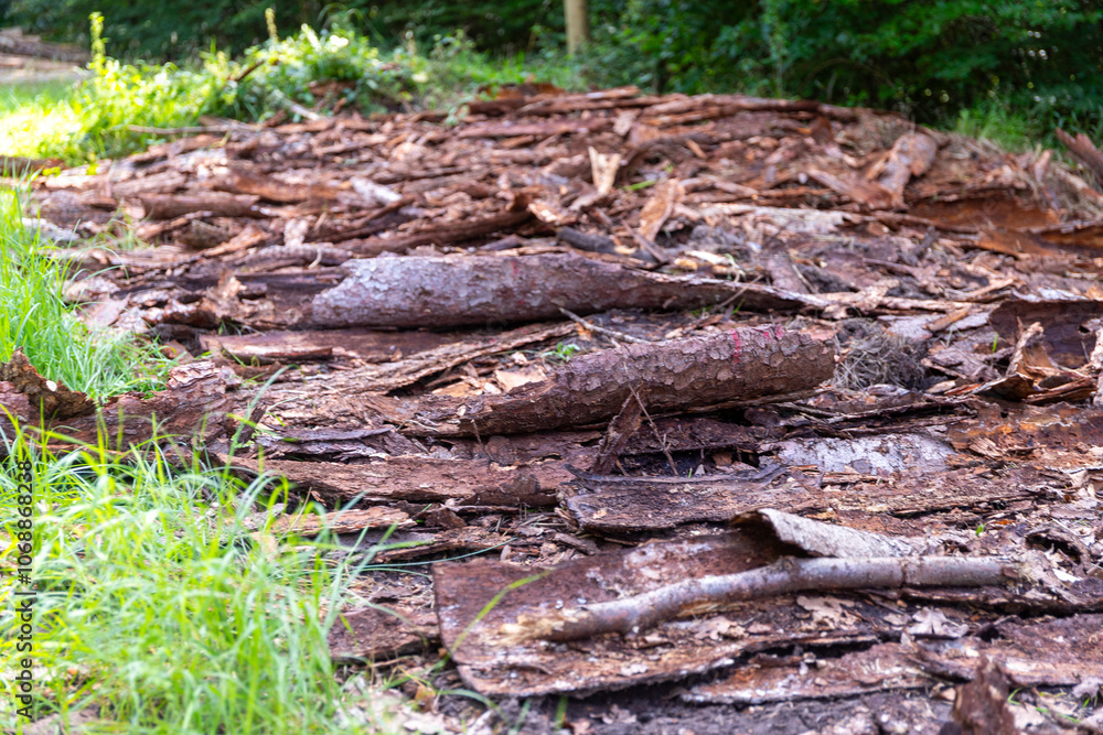 a lot of tree bark as the remains of an old wood store in the forest a lot of tree bark as the remains of an old wood store in the forest