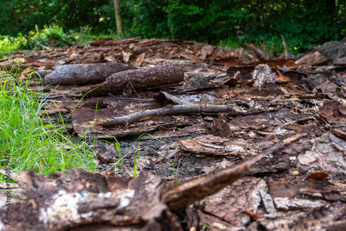 a lot of tree bark as the remains of an old wood store in the forest