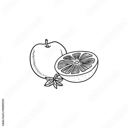 Tasty apple with half sliced juicy orange and anise star in black isolated on white background. Hand drawn vector sketch illustration in doodle engraved vintage line art style. Mulled wine ingredients