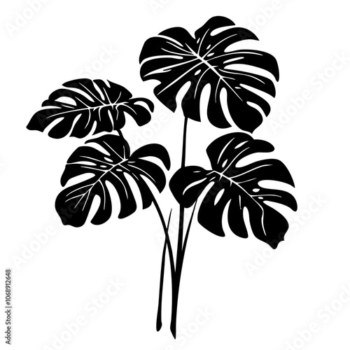 Stylized vector design of tropical monstera leaves showcasing lush foliage commonly found in warm climates, perfect for decorative use in interior or graphic design projects