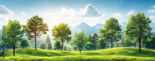 Forest landscape representing carbon offset programs, netzero emissions goal, ecological transition