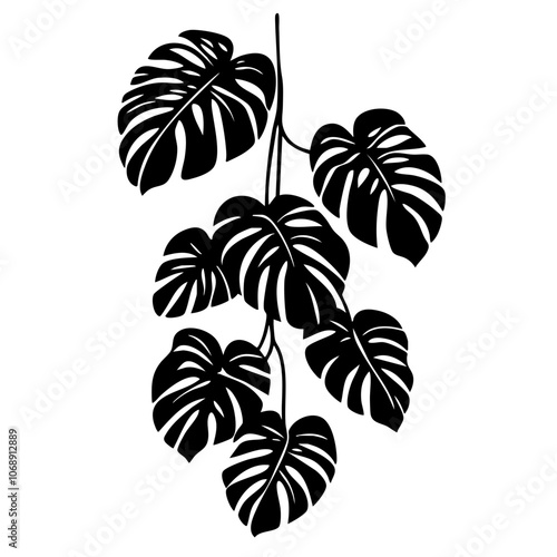 Detailed vector illustration of tropical monstera leaves, showcasing their unique shapes and textures, perfect for botanical art projects or home decor