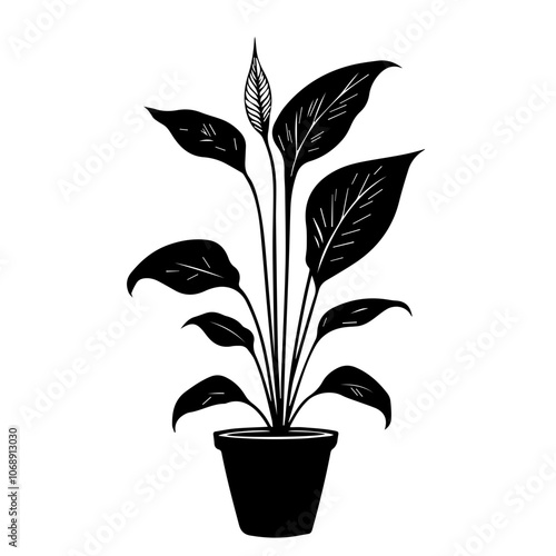 A peace lily plant with lush green leaves growing gracefully from a simple black pot in a serene indoor setting, symbolizing tranquility and natural beauty