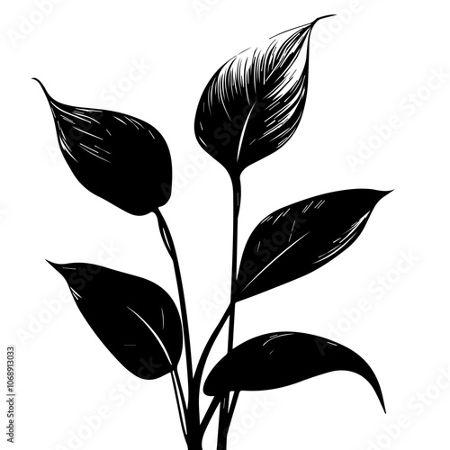 A graceful peace lily plant showcasing elegant, elongated leaves, emphasized by its unique silhouette against a minimalistic design
