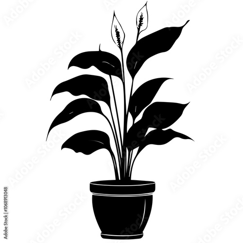 A peace lily plant elegantly displayed in a decorative pot, showcasing its verdant leaves and delicate white flowers for a tranquil indoor ambiance