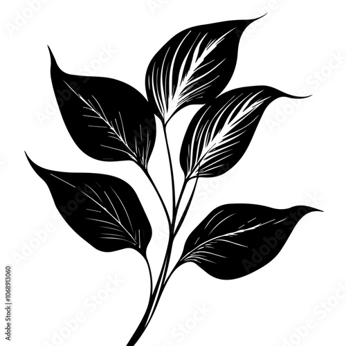 Stylized representation of a peace lily with elegantly shaped leaves, showcasing intricate details and natural beauty, suitable for botanical illustrations or design projects