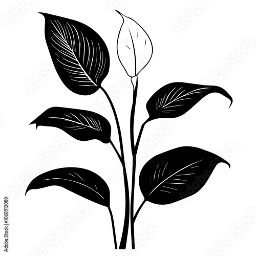 Stylized illustration of a peace lily plant featuring broad green leaves and a distinctive flower bud, showcasing the natural beauty of houseplants popular for indoor decoration