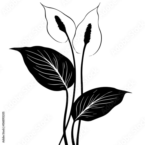 Elegant vector illustration of peace lily plants showcasing their distinctive leaves and blooms, ideal for botanical art lovers during any season