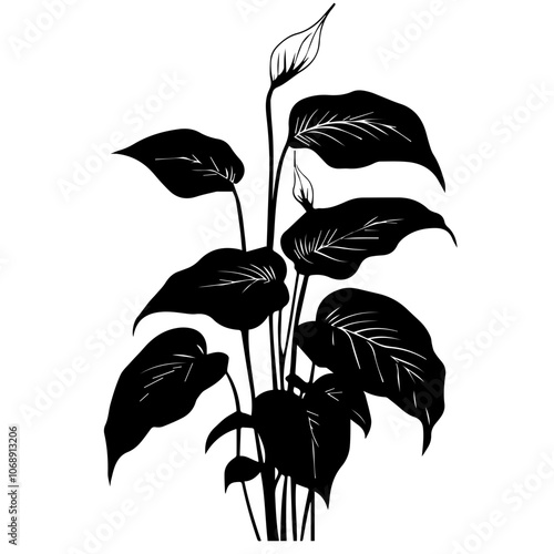 Elegant peace lily vector design featuring bold black leaves and delicate flower buds, ideal for botanical illustrations and modern decor projects