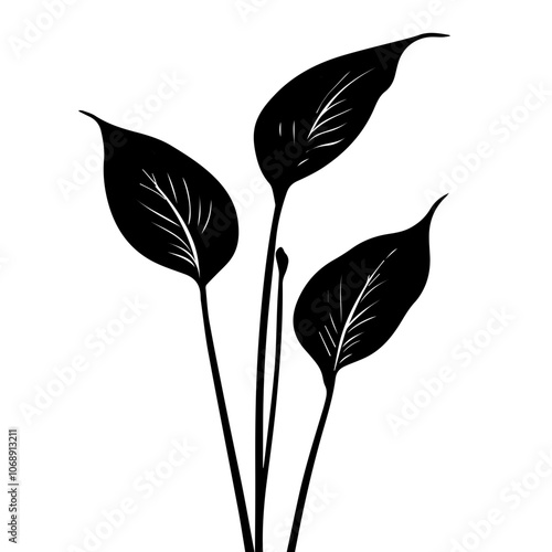Stylized black silhouette of a peace lily plant showcasing its elegant leaves and unique structure, ideal for botanical designs and nature-themed projects