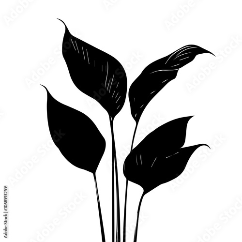 A silhouette of a peace lily plant with elongated leaves highlighting the elegant shape and lines of each leaf in a minimalist vector style