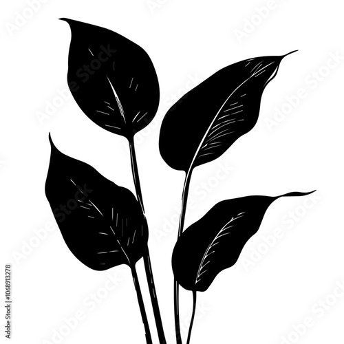Elegant peace lily leaves depicted as a vector design showcasing their unique shape and texture, ideal for botanical art or nature-inspired projects in contemporary style
