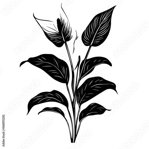 A detailed vector illustration of a peace lily plant featuring elegant leaves and a single flower, showcasing its natural beauty in a minimalist design style