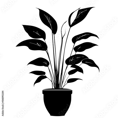 A stylish peace lily in a simple pot showcasing elegant leaf shapes and graceful lines, perfect for enhancing indoor spaces with a touch of nature
