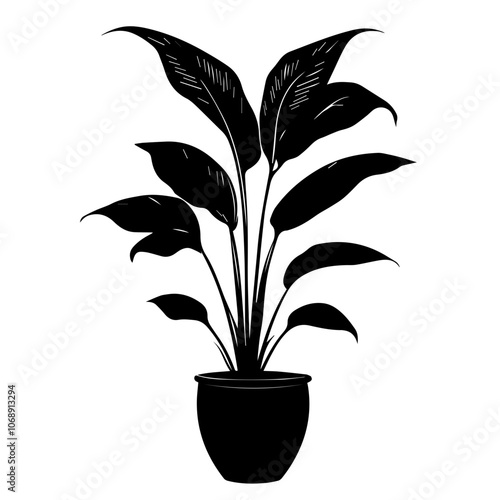Stylized peace lily in a simple black pot showcasing elegant foliage with long, arching leaves emphasizing a modern botanical design