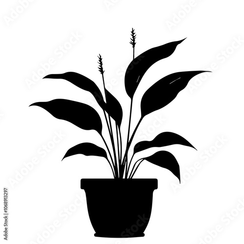 A serene peace lily gracefully stands in a pot, showcasing its elegant leaves and flower spikes, perfect for enhancing home decor and indoor gardening aesthetics