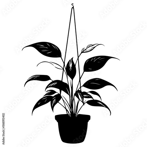 A peaceful peace lily plant elegantly suspended in a hanging pot, showcasing its lush green leaves with a graceful silhouette against a minimalist backdrop