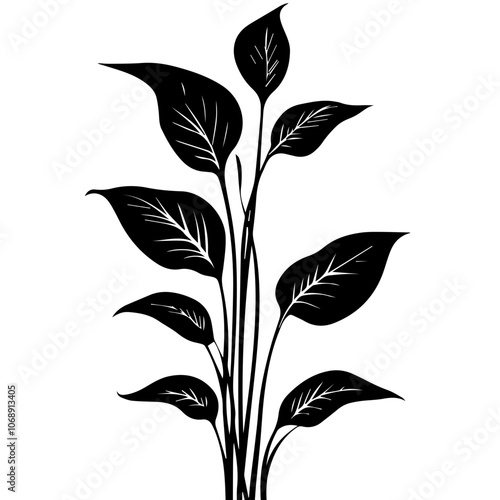 A beautifully detailed vector illustration of a peace lily with multiple leaves showcasing elegant shapes and natural forms, ideal for minimalist design