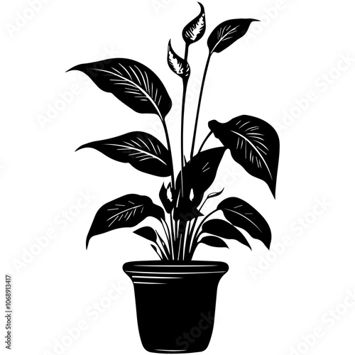 A detailed illustration of a peaceful peace lily in a pot showcasing its elegant leaves and budding flowers, symbolizing tranquility and harmony in modern decor