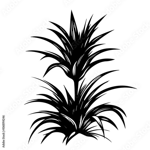 Stylized black silhouette of tropical plant with long pointed leaves, showcasing lush foliage in a vector design suitable for various artistic applications