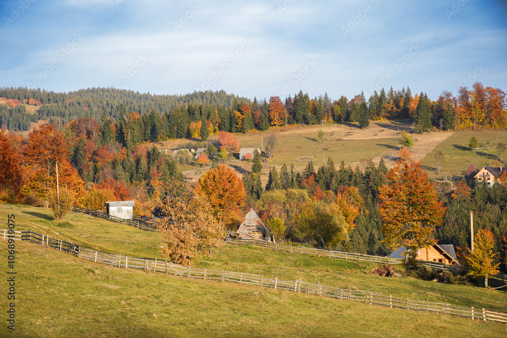 mountainous rural landscape of romania in autumn. sunny evening. transylvania scenery in fall season