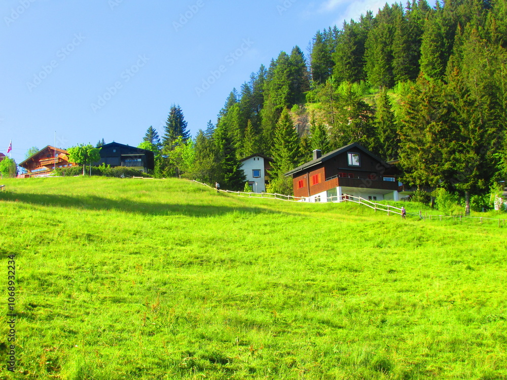 house in the mountains of switzerland, europe house in the mountains of switzerland, europe