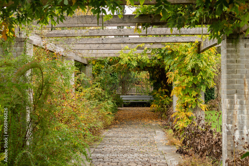 Beautiful autumn scenery in a botanical park in Saint Gallen in Switzerland