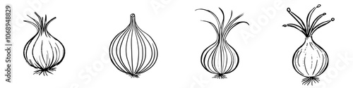 A simple illustration showing an onion icon on a white background..EPS