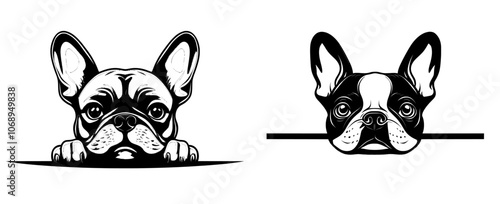 Peeking French Bulldog in stylized modern illustration