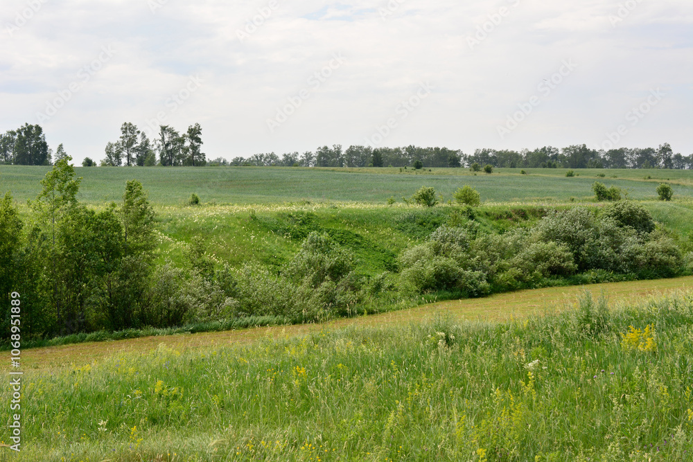 a green hill with a field and a few trees in the background a green hill with a field and a few trees in the background