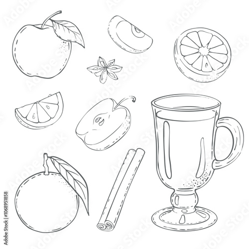 Vector Set of mulled wine, a warm wine drink with cinnamon, star anise, apples and orange. High quality illustration. drawing on a white background. For cozy evenings, menus of cafes, showcases.