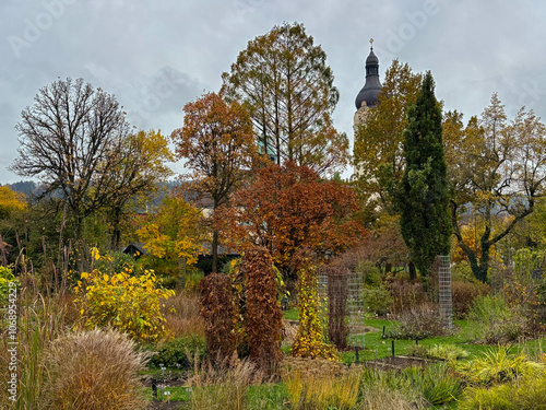 Beautiful autumn scenery in a botanical park in Saint Gallen in Switzerland